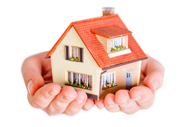 Property Tax